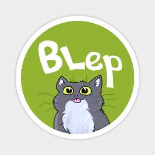 Blip Cat Magnet